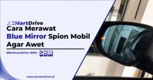 Cara Merawat Blue Mirror